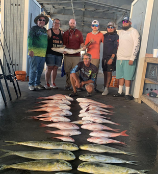 Red Snapper Fishing Haul In Galveston